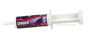 Conquer Gel (60 ml)