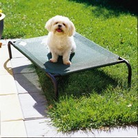 COOLAROO Pet Bed for Small Dogs or Cats  (35.5" X 21.6")