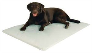 Cool Bed III - LARGE (32" x 44")