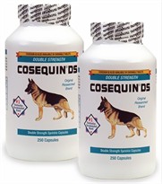 Cosequin DS (Double Strength) 