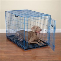 Crate Appeal MEDIUM BLUE SPLASH COLORED WIRE PET CRATE dog crates