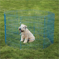 Crate Appeal Color Exercise Pen 18 Inch - Blue Splash