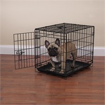 Crate Appeal Crate Medium/Large - Black