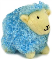 Curly Pet - Blue