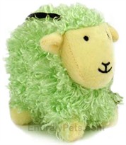 Curly Pet - Green
