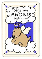 Crunch Card "Dogs are Angels With Fur"