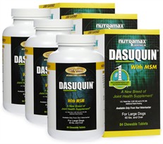 3-PACK Dasuquin for Large Dogs 60 lbs. & over with MSM (252 Chews)