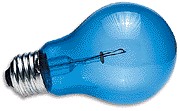 Daylight Blue Reptile (100 watt)