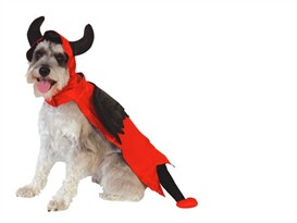 Halloween Devil Costume - LARGE
