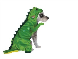 Halloween Dinosaur Costume - SMALL
