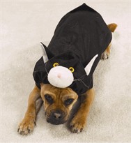 Doggone Cat Dog Costume - MEDIUM
