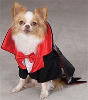 Casual Canine Dogicula Costume - LARGE