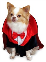 Casual Canine Dogicula Costume - XSMALL