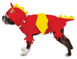 Zack & Zoey Dragon Costume - MEDIUM