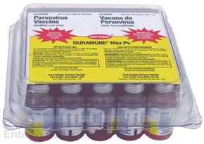Duramune Max PV (25 Dose)