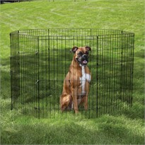 Easy Exercise Pen 18 Inch - Black