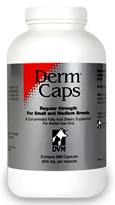 DermCaps REGULAR (250 capsules) by DVM Pharmaceuticals