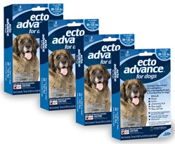 12 MONTH EctoAdvance for Dogs 89-132 lbs