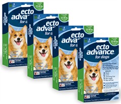 12 MONTH EctoAdvance for Dogs 23-44 lbs