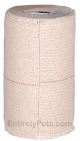 Elastiant  - Elastic Adhesive Bandage (4 in x 2.5yds)