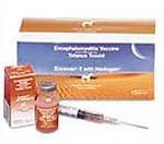 Encevac T with Havlogen (1 Dose)