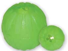Everlasting Fun Ball (Medium)