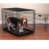 Everlasting Crate w/Dual Doors XLarge 48x30x35 Inch
