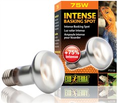 Exo Terra Intense Basking Spot Lamp (75 W)