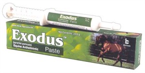 Exodus (pyrantel pamoate) Paste Equine Anthelmintic (23.6 g)