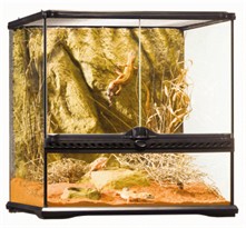 Exo Terra Glass Terrarium (18"x18"x18")