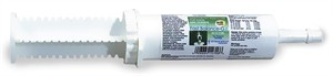 Fast Balance G.I. (35 CC Tube)