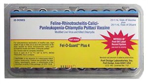 Fel-O-Guard Plus 4 (25 Dose)