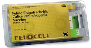 Felocell 3, 25 x 1ml vials
