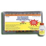 Fel-O-Vax IV CaliciVax (50 doses)