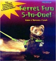 Ferret Fun 5-In-One!