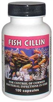 Fish Cillin (Ampicillin) 250mg (100 capsules)
