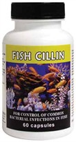Fish Cillin (Ampicillin) 250mg (60 capsules)