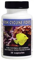 Fish Cycline Forte (Tetracycline) 500mg (30 Caps)