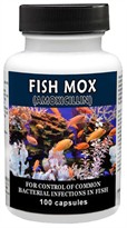 Fish Mox (Amoxicillin) 250mg (100 capsules)