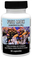 Fish Mox (Amoxicillin) 250mg (30 capsules)