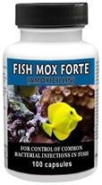 Fish Mox Forte antibacterial for fish, fishmox