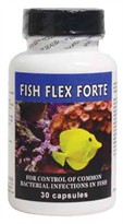 Fish Flex Forte 500mg (30 Capsules)