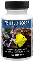 Fish Flex Forte 500mg (100 Capsules)
