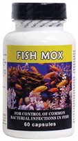 Fish Mox (Amoxicillin) 250mg (60 capsules)