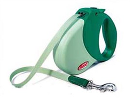 Flexi Expression Retractable Leash Green - Small/Medium 