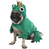 Prince Of Frogs Costume - XSMALL 