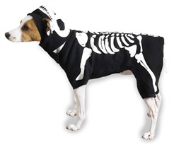 Casual Canine Glow Bones Costume