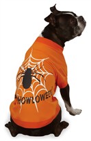 Zack & Zoey Halloween Glow Web Tee Orange - XL (24")
