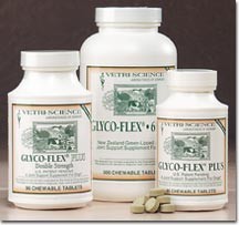 Glyco Flex PLUS (II) Double Strength (90 tablets)