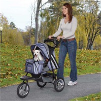 Guardian Gear Sprinter EXT II Stroller - Steel Blue